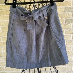 Banana Republic Blue Skirt